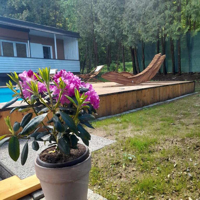 Bungalows Sonnenblume am Klopeiner See - Bungalow mit Gartenblick - 23