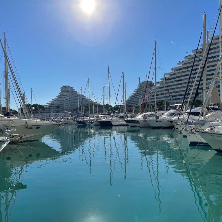 VILLENEUVE LOUBET PLAGE- Entre NICE et CANNES - Appartement 1 Chambre - 6