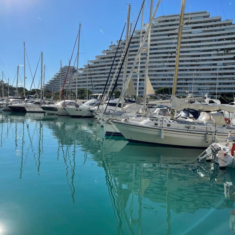 VILLENEUVE LOUBET PLAGE- Entre NICE et CANNES - Appartement 1 Chambre - 14