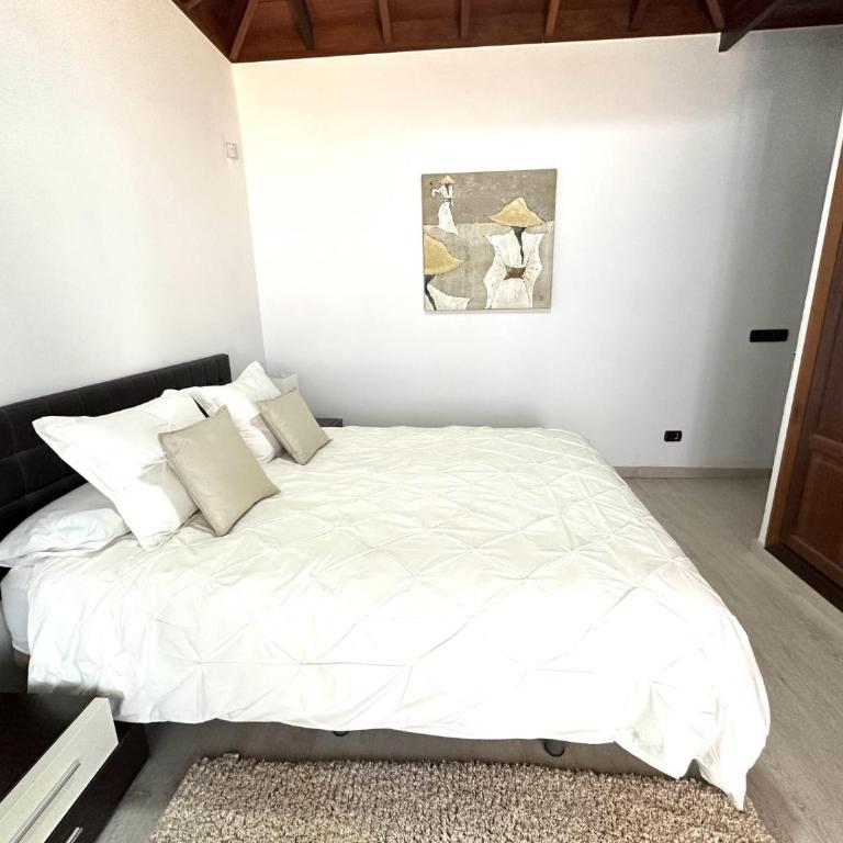 Las Moraditas 31 - Casa - 9