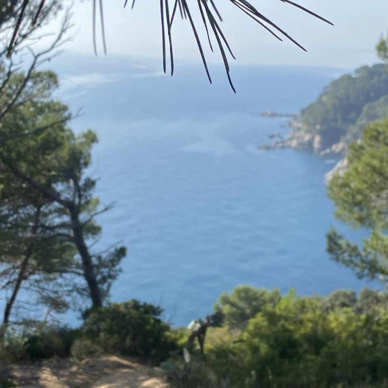 Espiga – Vistas al Mar en Cala Salions (6 pax) - Apartamento con vistas al lago - 30