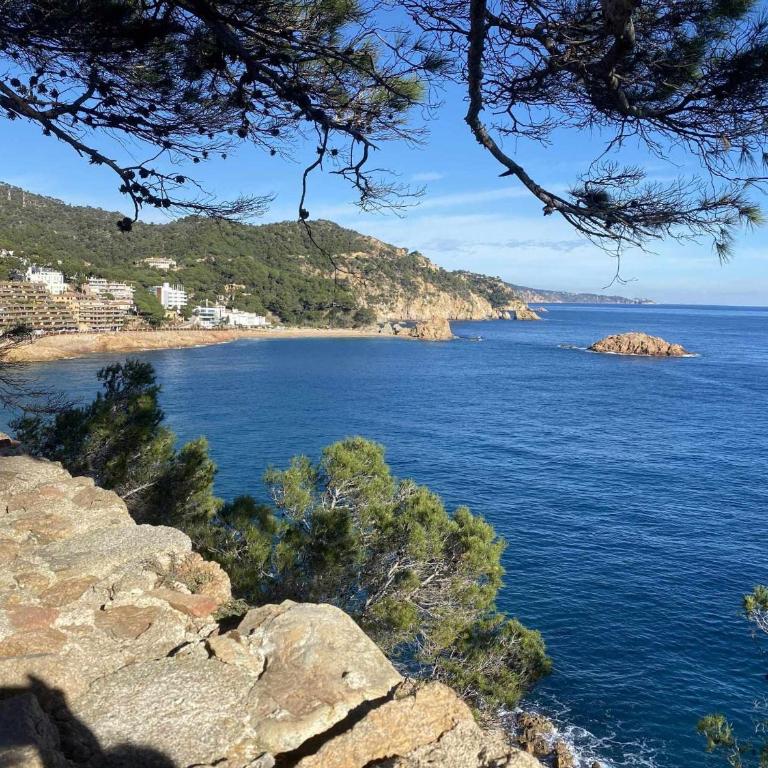 Espiga – Vistas al Mar en Cala Salions (6 pax) - Apartamento con vistas al lago - 32