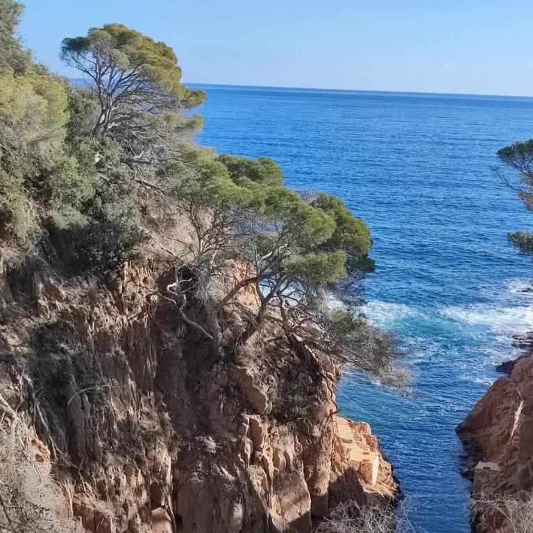 Espiga – Vistas al Mar en Cala Salions (6 pax) - Apartamento con vistas al lago - 38