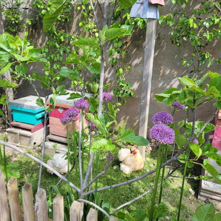 Tiny House Cosy 2 - Angers Green Lodge - Maison 1 Chambre - 20