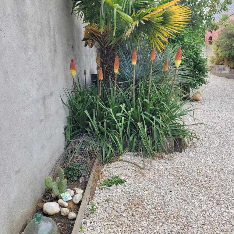Tiny House Cosy 2 - Angers Green Lodge - Maison 1 Chambre - 26