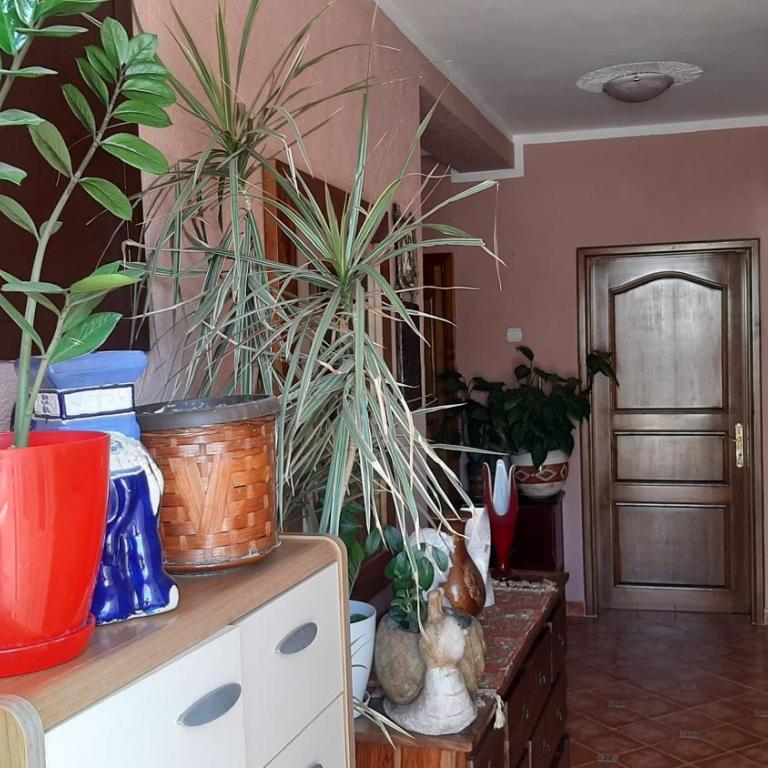 Apartments Oscar - Apartman sa 2 Spavaće Sobe - 42