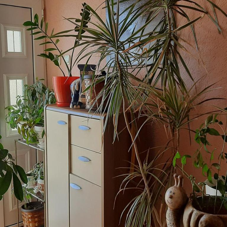 Apartments Oscar - Apartman sa 2 Spavaće Sobe - 41
