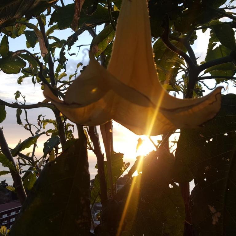 Apartments Oscar - Apartman sa 2 Spavaće Sobe - 27