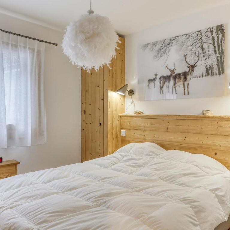 Appartement lumineux 2 chambres proche centre, animaux admis, parking, WiFi - FR-1-453-296 - Appartement - 2