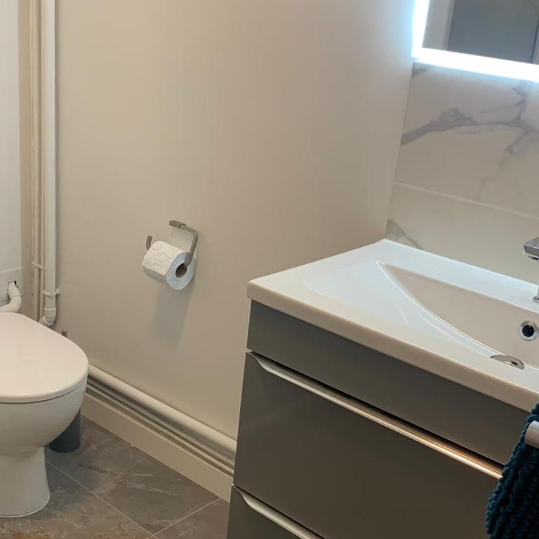GRAND STUDIO AU CALME - One-Bedroom Apartment - 4
