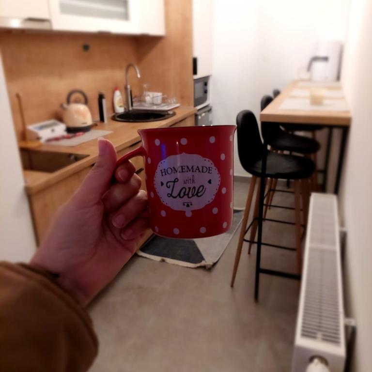 Apartman Srna Pale - Apartman sa 1 Spavaćom Sobom - 15