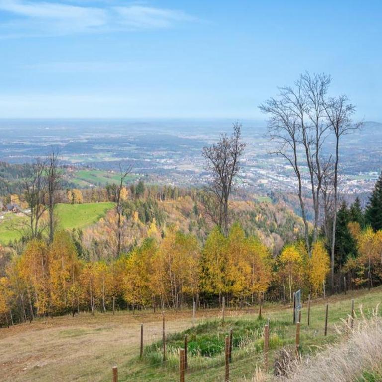 Schilcherland Chalet Südsteiermark - Villa mit 3 Schlafzimmern - 55