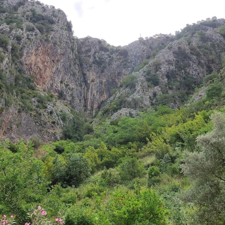 Nature Bay Apartment - Apartman sa 1 Spavaćom Sobom - 13