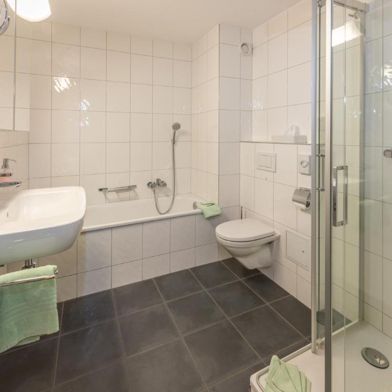 Aktiv Hotel & Spa Hannigalp - Studio - 1
