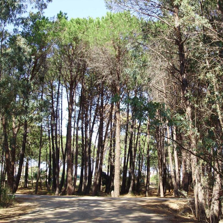 Appartement F1 Calvi à 150 mètres de la plage - Apartamento de 1 dormitorio - 3