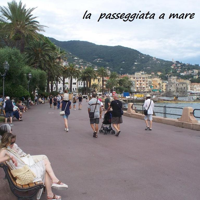 stella di mare - Appartamento con 1 Camera da Letto - 25
