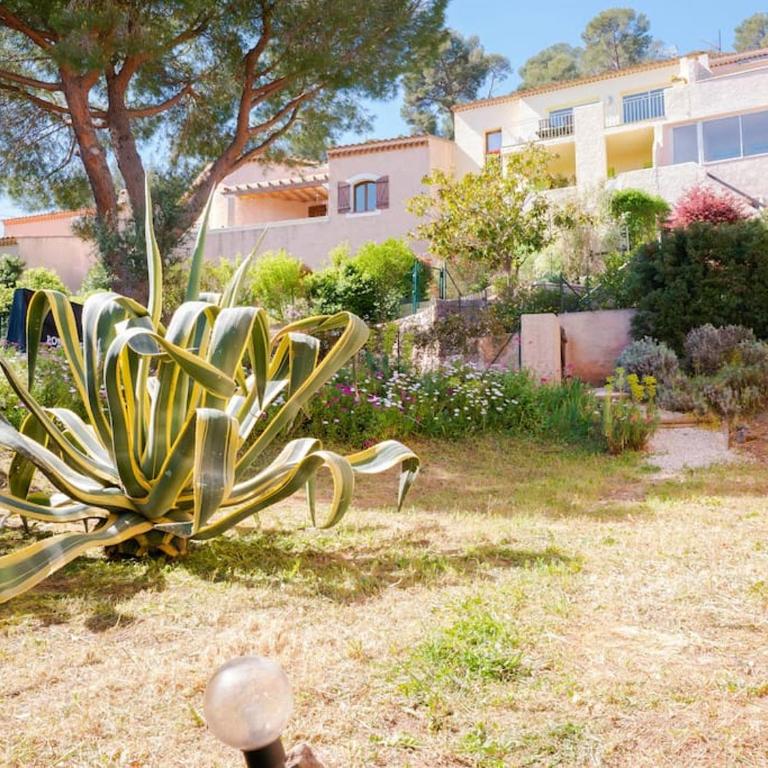 Maison familiale sous les palmiers de Hyères - Villa - 36