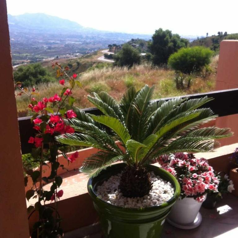 Marbella Hills Private Luxury Suite and Terrace - Suite Junior con balcón - 8