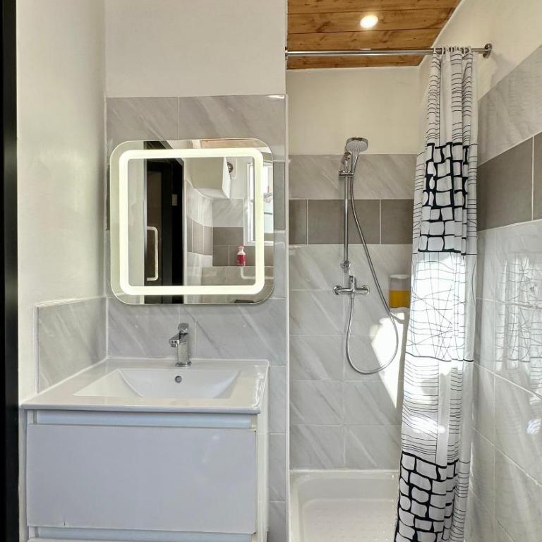 Lion's Room - 2 minute walk from Palais des Festivals and Beaches - Appartement avec Terrasse - 11