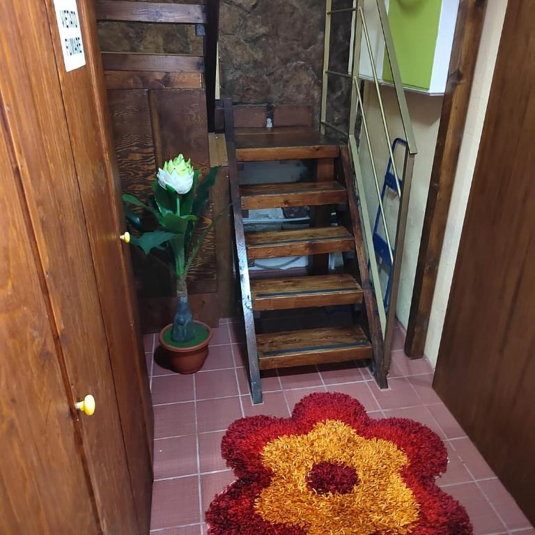 Casa vintage Mary - Appartamento - 21