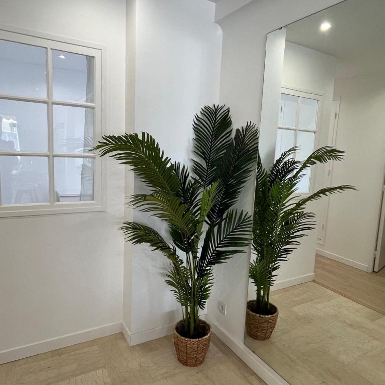 3P central refait à neuf - Parking L430cm x W275cm - Appartement 2 Chambres - 11