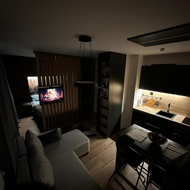 Planinska kuća - Apartman sa 1 Spavaćom Sobom - 3
