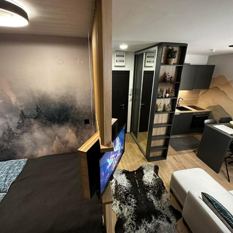 Planinska kuća - Apartman sa 1 Spavaćom Sobom - 11