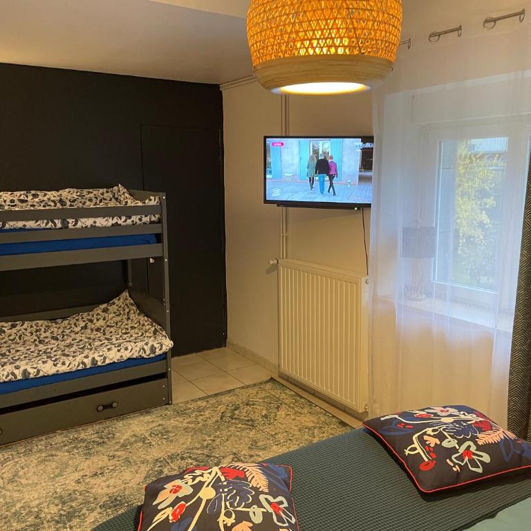 La Comète - Le Mont Dore 4 pers - One-Bedroom Apartment - 19
