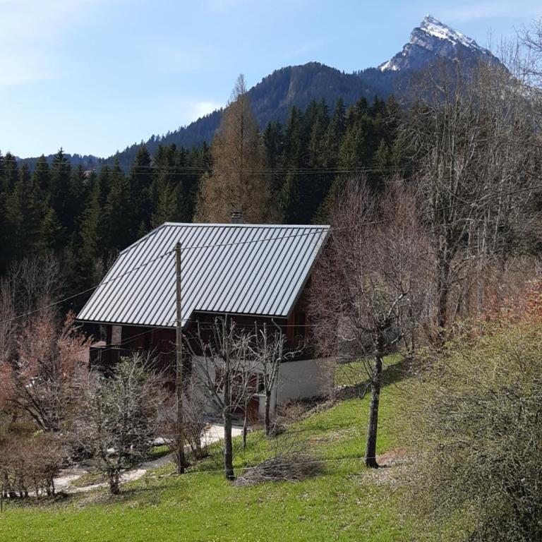 Le Chal'heureux grand chalet familial 8 personnes - Chalet - 20