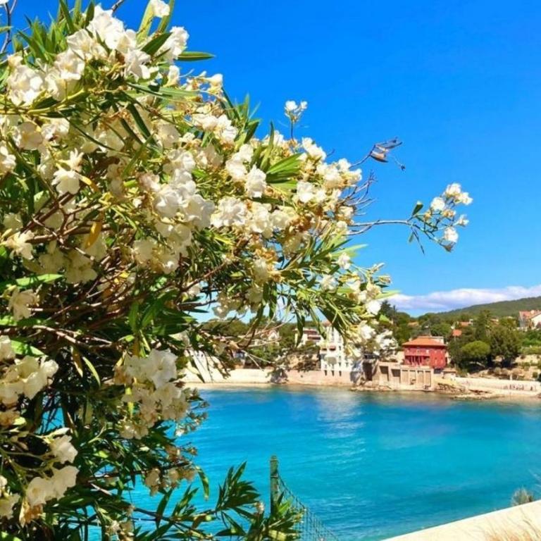 Superbe appartement en bord de mer - Appartement 1 Chambre - 1