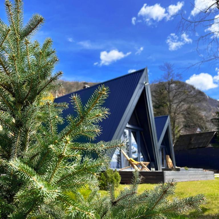 Loon Moon Mountain Chalets - Brvnara sa 1 Spavaćom Sobom - 1