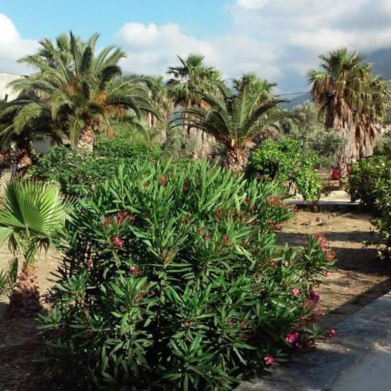 Villa Ponticelli - Casa con 2 Camere da Letto e Vista Mare - Su 2 Livelli - 67