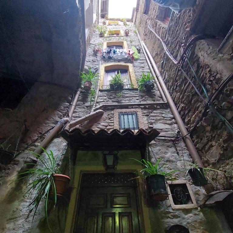 kaDevi Sanremo -centralissimo, parcheggio gratuito, bici- - Casa Vacanze - 75