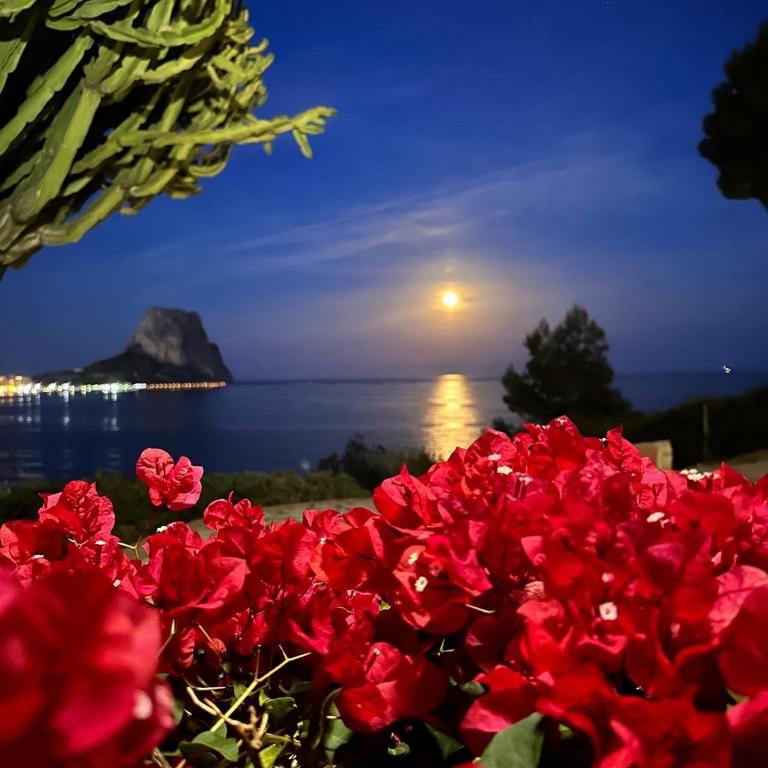 GREEN LAGOON -65m2 Apartment - First Line - 200 m to Beach - Calpe - Apartamento de 1 dormitorio - 23