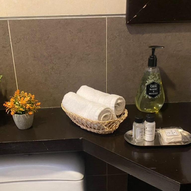 Vive Roma CDMX - Apartamento de 2 dormitorios - 9
