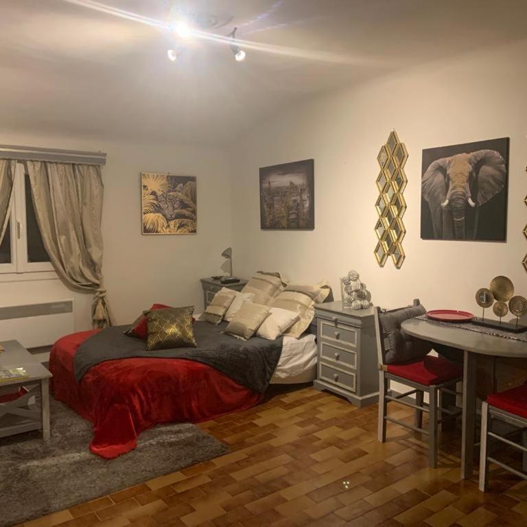 Studio de Luxe Aix en Provence - Studio - 1