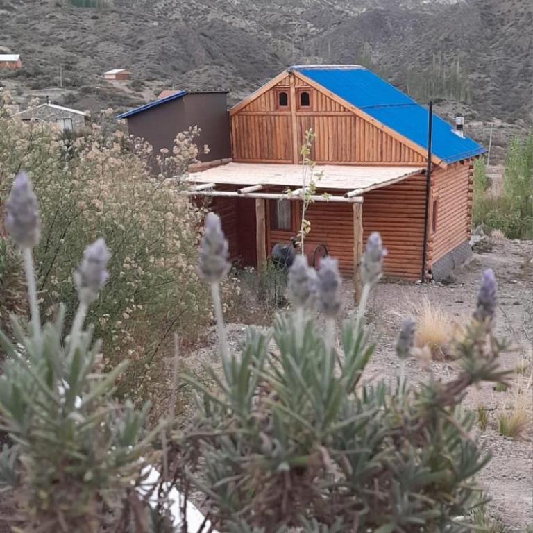 Cabañas Piquillin Potrerillos Mendoza - Chalet de 1 dormitorio - 1