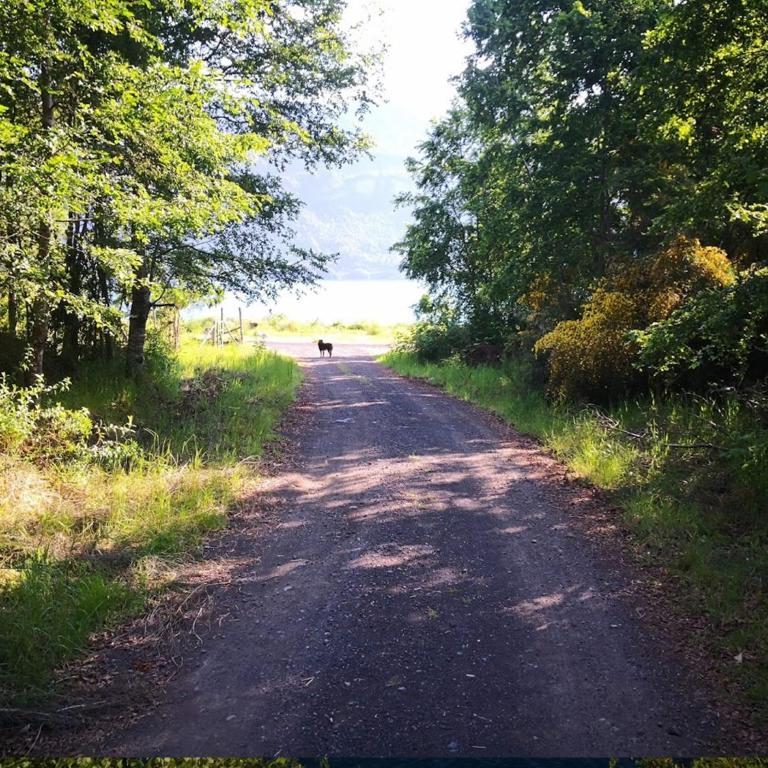 Cabaa Hualle con hot tub exclusivo cerca de termas y lago - Habitación Familiar - 23