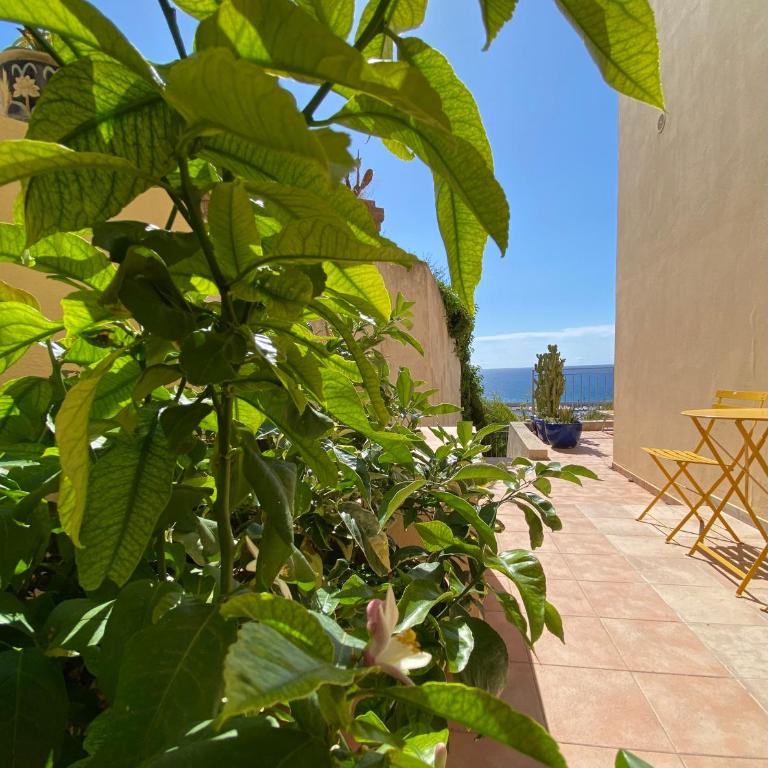 Villa l'ensoleillée vue panoramique mer, 250 m de la plage et du centre ville - Appartement - Vue sur Mer - 21