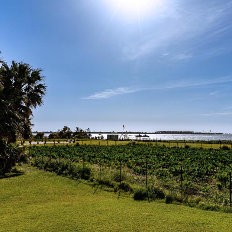 Casa B, Room 5 - mit Pool - at Lagoon - Lo Stagnone Kite Spot - Palm Kite Paradise - Camera Matrimoniale con Balcone - 22