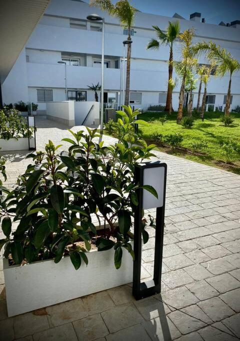 MyChoice Diana - Apartamento con terraza - 53