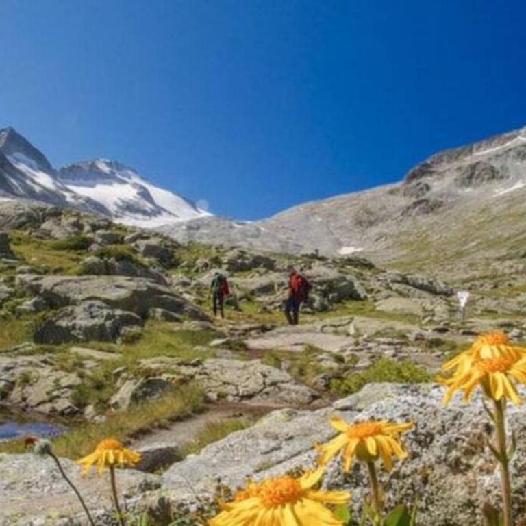appartamento Passo del Tonale sulle piste - Appartamento con 1 Camera da Letto - 31