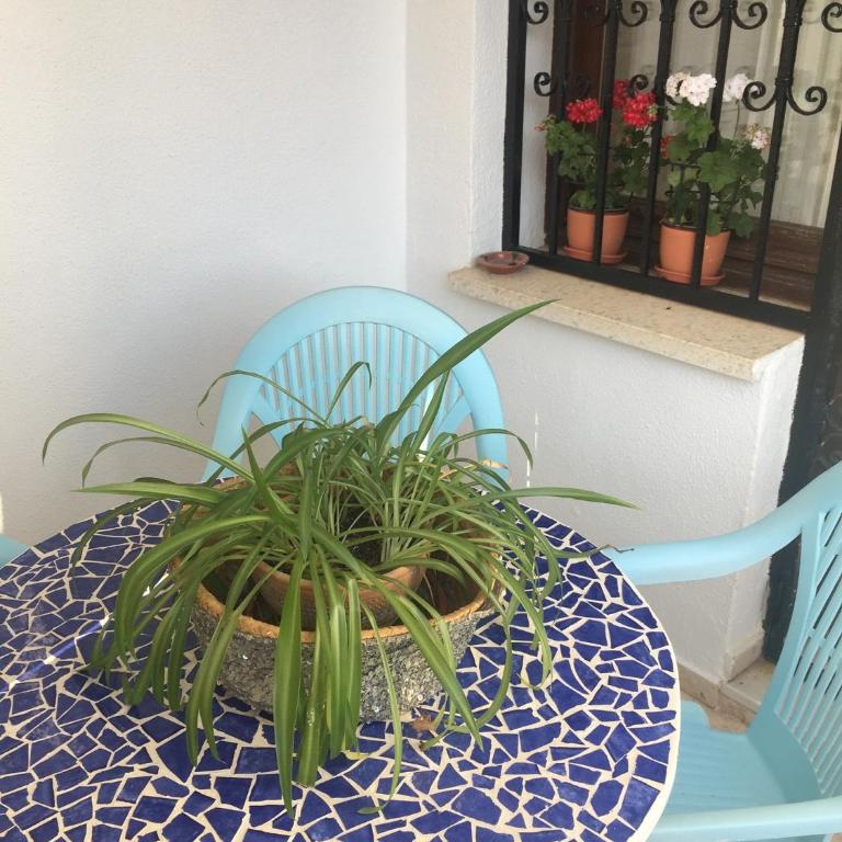 Precioso y soleado - Apartamento de 2 dormitorios - 18