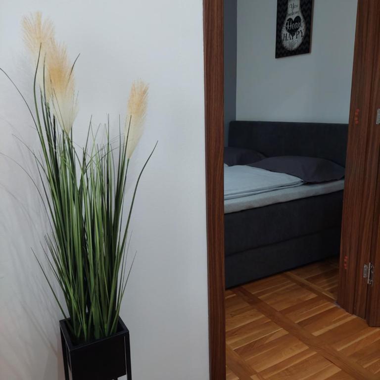 Smiley - Subotica Centar - Apartment - 22