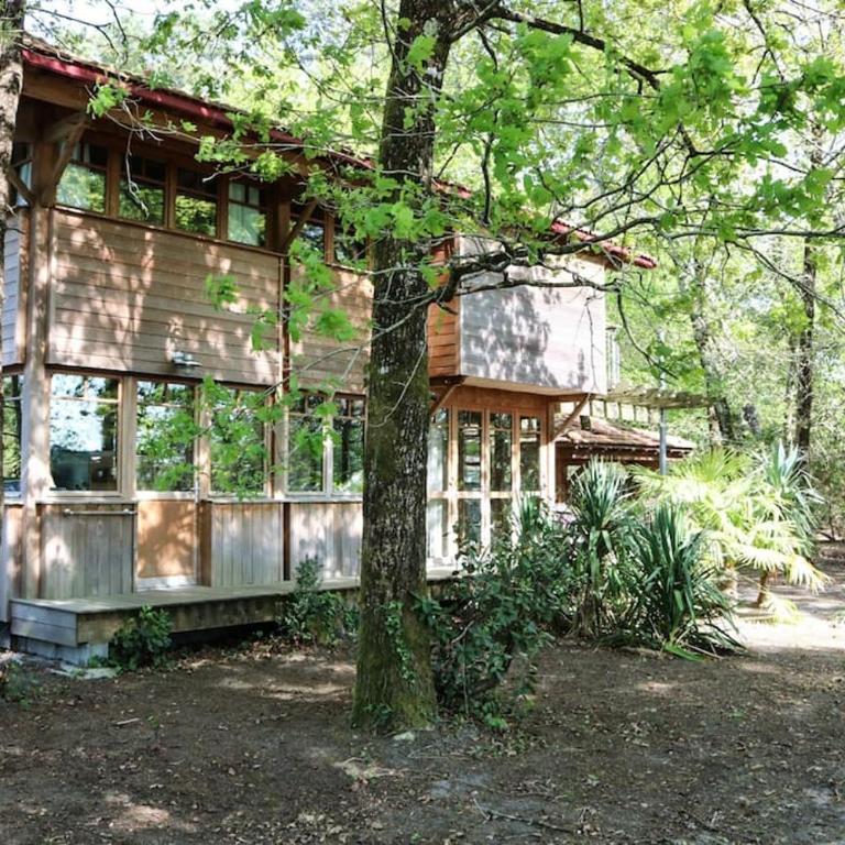La cabane sous les pins - Chalet mit 3 Schlafzimmern - 1