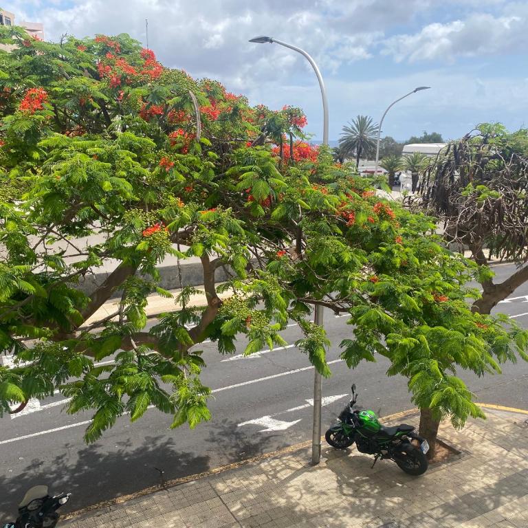 Santa Cruz de Tenerife Toscal, Free Parking gratis - Apartamento - 9