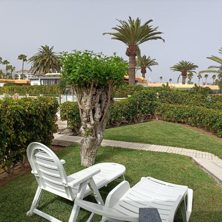 BUNGALOW JARDÍN CENTRICO PLAYA INGLES - Two-Bedroom Apartment - 1