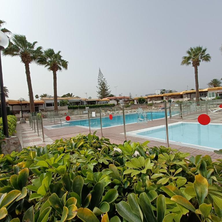 BUNGALOW JARDÍN CENTRICO PLAYA INGLES - Two-Bedroom Apartment - 2