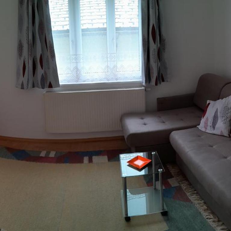 Ferienwohnung Schuhhaus Ganster - Appartement avec Balcon - 1