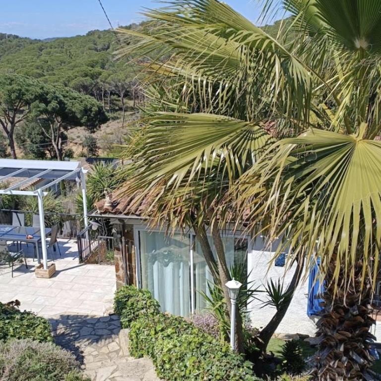 Es pins - Casa - 4